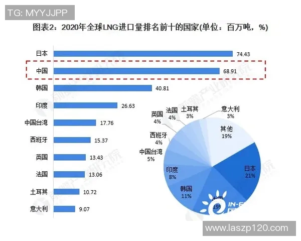 独家解析LNG市场竞争策略与战术对比深度剖析